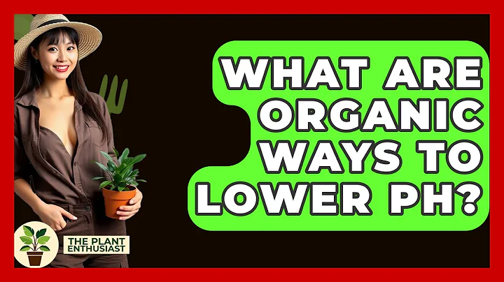 What Are Organic Ways To Lower PH? - The Plant Enthusiast