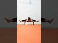 Koundinya Assan 🕉️🧘♀️ #yogagirl #handbalance