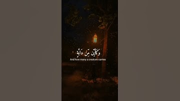 الَّذِينَ صَبَرُوا وَعَلَىٰ رَبِّهِمْ يَتَوَكَّلُونَ (42) ما تيسر من سورة النحل  #عبدالرحمن_مسعد
