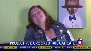 Greensboro`s cat cafe launches the Greenspurro Market