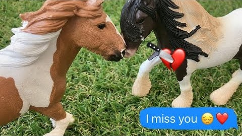 Schleich music video ( hold on )