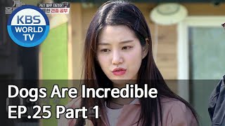 Dogs are incredible | 개는 훌륭하다 EP.25 Part 1 [SUB : ENG/2020.05.13]