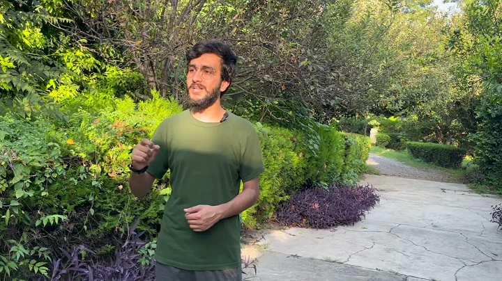 "Beware of Clickbait Scams: How to Spot and Avoid Dangerous Links!"