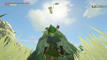 [DAY 761] of finding one korok seed everyday until Totk comes out