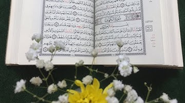 يوم الجمعة / الصلاة على النبي / سورة الكهف القارئ فارس عباد / حالات واتساب دينيه / مقاطع دينيه 🌿