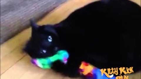 Kitty Kick Stix - The popular 15" Catnip Toy w/ bells