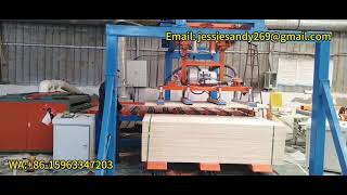 Woodworking Equipment Load Gantry Vacuum Lifter for Industrial Panel Transport and Stacking
