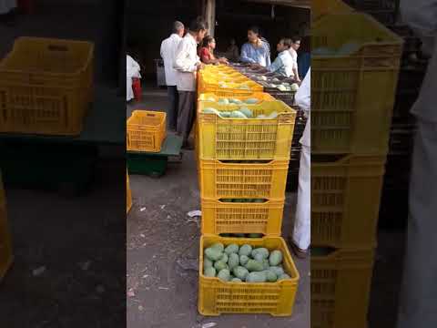 Mango sardar market valsad
