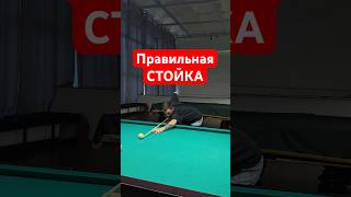 Правило 6 точек в бильярдной стойке!🎱 #billshop #бильярд #русскийбильярд #billiards
