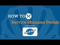 How To Service Shimano Pedals