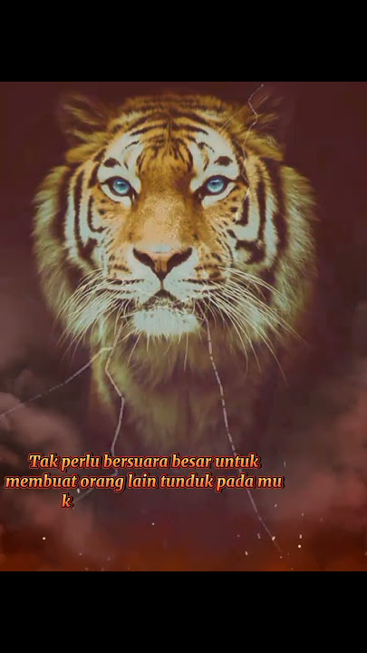 story wa keren 30 detik