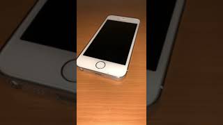 iPhone 5s Burn Test