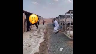 عليه العوض ومنه العوض هههههههههههه