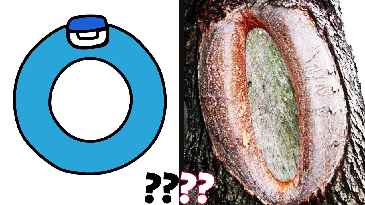 Alphabet Lore but In Real Life Sound Variations In 41 seconds YouTube