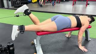 Celebrity Single Leg Prone Cable Hamstring Curl Profile