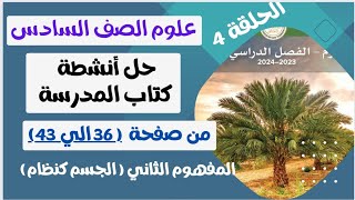 حل أنشطة كتاب العلوم للصف السادس الابتدائي 2024..من صفحة  [ 36 الي 43 ] المفهوم التاني (الجسم كنظام)