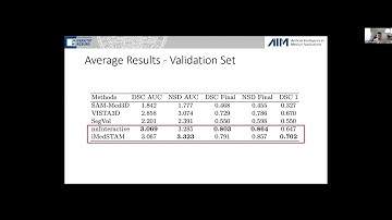 CVPR25 MedSegFM Top Solution Webinar: 02 iMedSTAM | Tobias Friedetzki