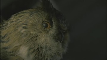 What if Control was an Alan Wake 2 Manuscript Page?!