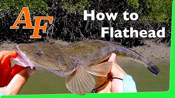 How to Catch Flathead on soft plastics mostly Dusky Flathead Fishing Video EP.220