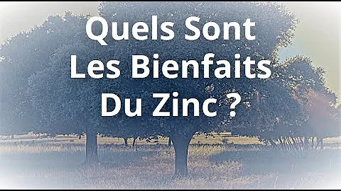 Quelle est la nature du zinc ?