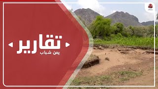 تراجع الإنتاج الزراعي في موزع غرب تعز