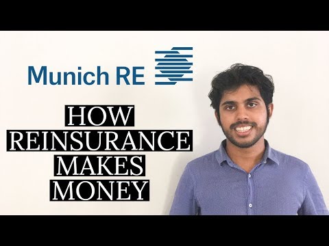 The World's Largest Reinsurance Company: Analysis of Munich Re