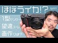 【隠れライカ】パナソニックLUMIX DC-TX2 に衝撃の事実!? 高倍率ズーム1型センサーコンパクトデジカメの画作りはライカQ2とほぼ同じなの？【サブ機になる？】