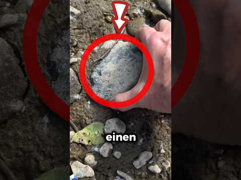 Dieser Stein ist