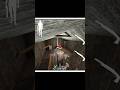 Playing As Grandpa #granny #trending #ytshorts #shortsfeed