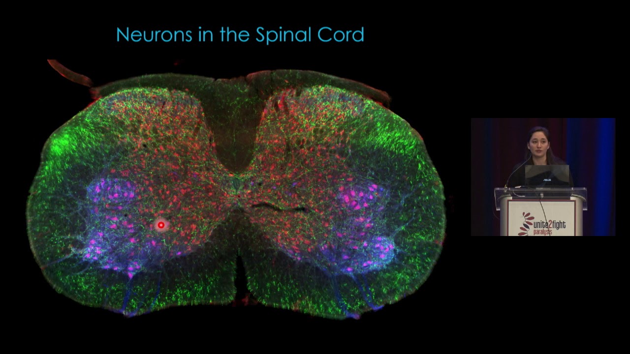 Saturday, October 5, 2019 | Segment 5