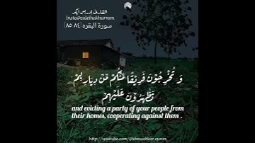 سورة البقره ٨٤-٨٥ بصوت الشيخ إدريس أبكر/Surah Baqarah by Sheikh Idress Abkar @idressabkar-quran