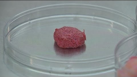 Would you eat a lab-grown burger?