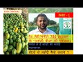 पपीते की खेती से कमाए लाखो का मुनाफा। papaya farming