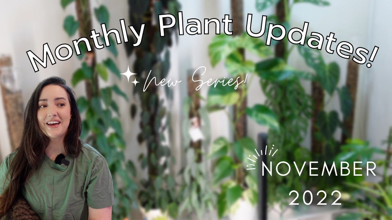 New Video Series Monthly Plant Updates! | November 2022 - YouTube
