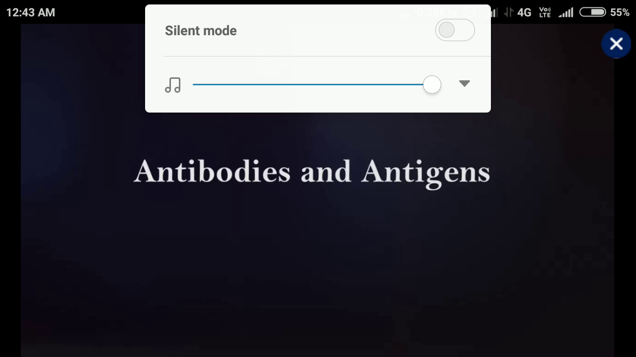 Antigens and Antibody YouTube