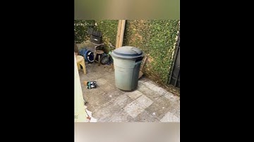 Prop Flying In Real Life Like Garry