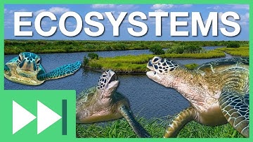 Ecosystems | Fast Forward Teachable Moments