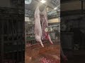 還是得是機器好，輕鬆拿捏二師兄