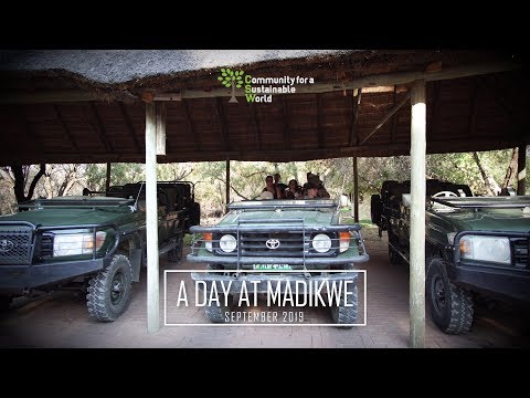 A Day at Madikwe | 2019 Botshabelo Volunteer Experience | CSW