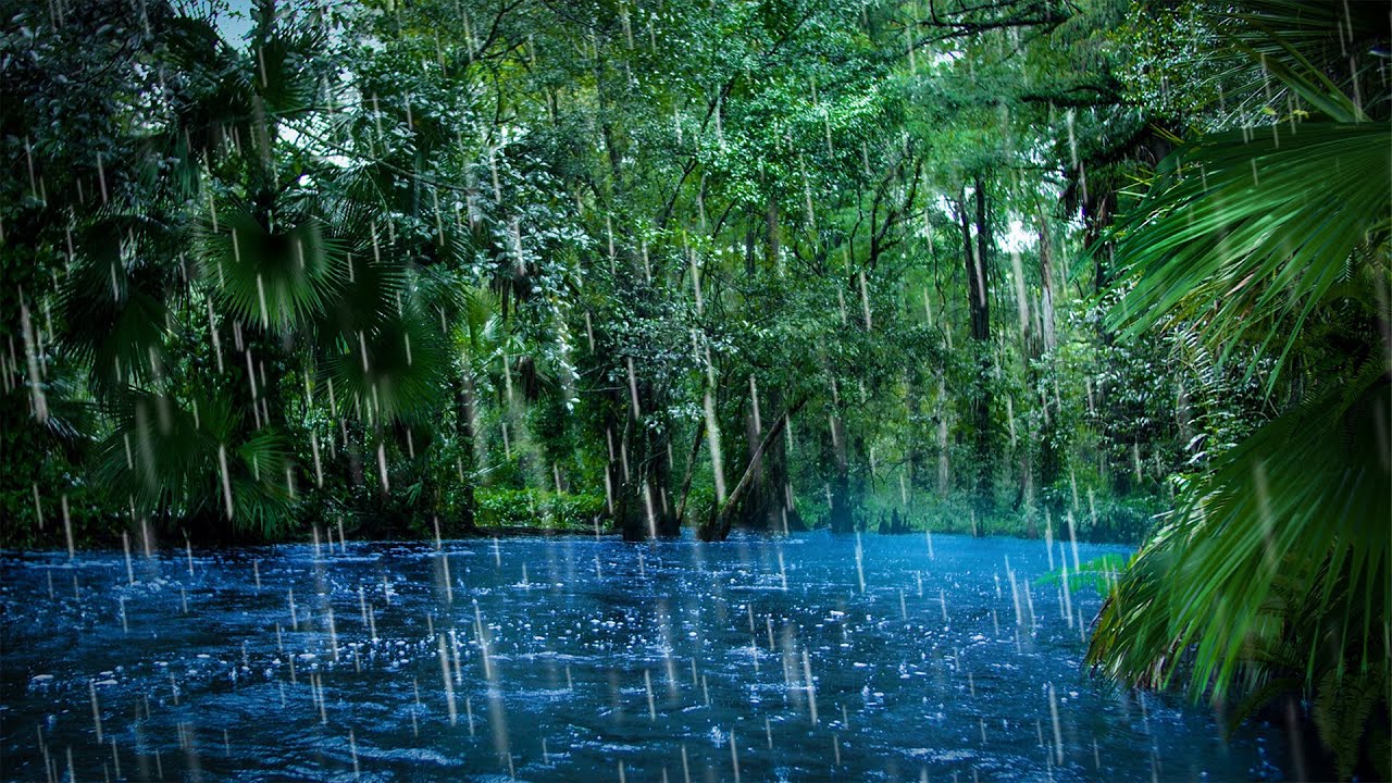 ⛈ Serenade of Raindrops: Cozy Moments Inside the Camping Car 🚗