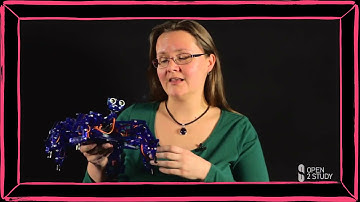 Cours gratuit Robotique mobile  Vue d