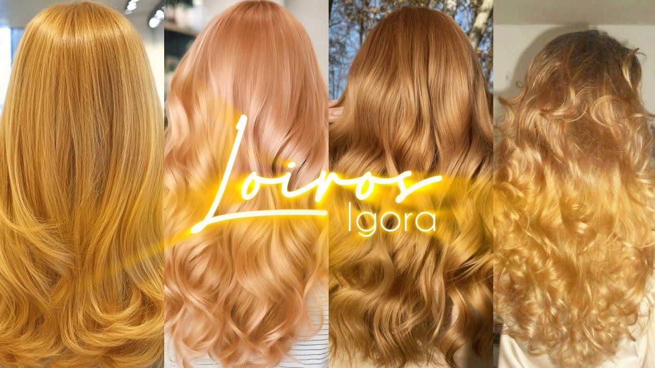 Loiros Igora - Loiro Pessego, Loiro Manteiga, Loiro Dourado e Loiro Doce de Leite #loiroigora #igora