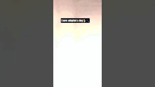 I have adopted a dog #mahi #comedy #short#mini vlog#new dog#viral video #funnyreel
