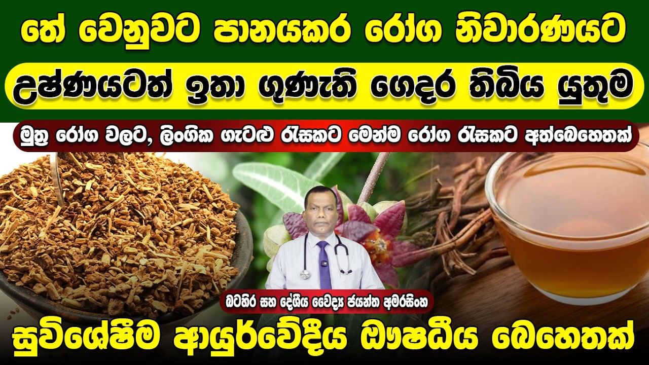 තේ වෙනුවට පානයකර රෝග නිවාරණය කලහැකි, සිරුරේ උෂ්ණ ගතිය සමනය කරන ගෙදර තිබිය යුතුම සුවිශේෂී ඖෂධය ඉරමුසු