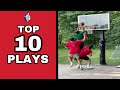 Top 10 Basketball Plays | Backyard Basketball | 2021