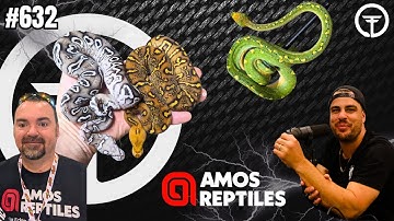 Good Bye Ball Pythons...Hello Green Tree Pythons | Trap Talk With MJ Live