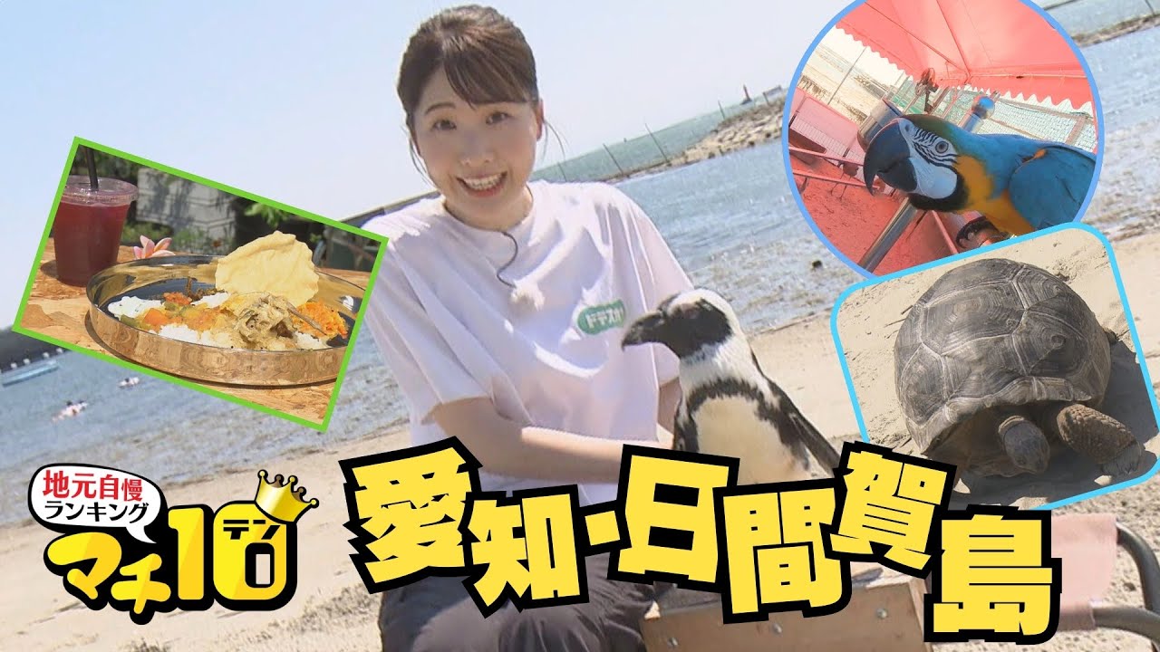 名古屋から一番近い島・日間賀島で海の楽しさ満喫！ 絶品グルメと癒しスポット10選【マチ10】