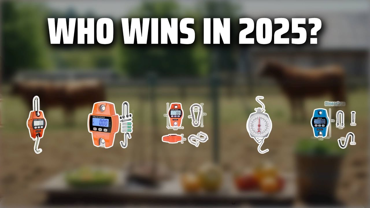 The Top 5 Best Hanging Scales in 2025 - Must Watch Before Buying!