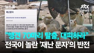 '맹견 70마리 탈출, 대피하라'…전국이 놀란 '재난 문자'의 반전 / JTBC 뉴스룸