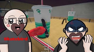 Skatebird  Review by a Game Designer